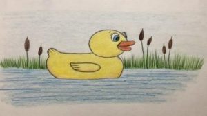 آموزش نقاشی اردک