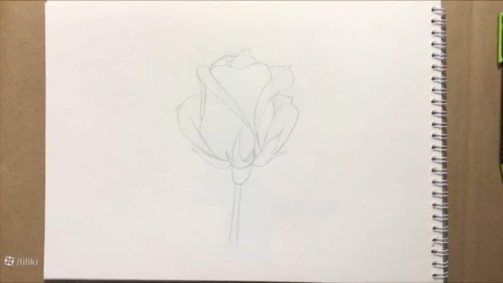 نقاشی گل رز حرفه ای