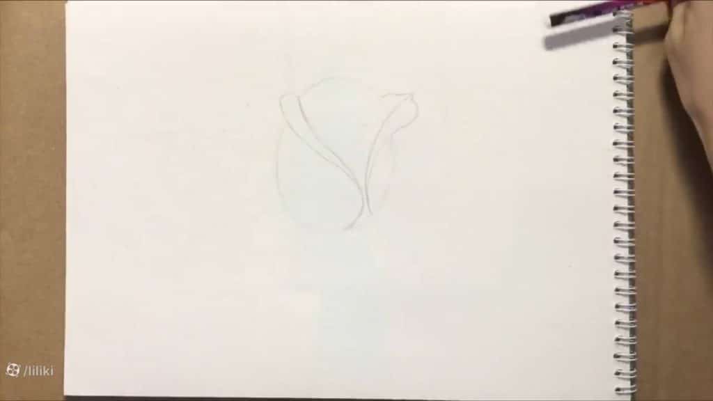 نقاشی گل رز حرفه ای