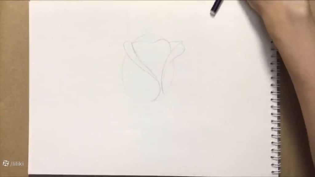 نقاشی گل رز حرفه ای