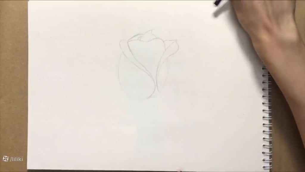 نقاشی گل رز حرفه ای