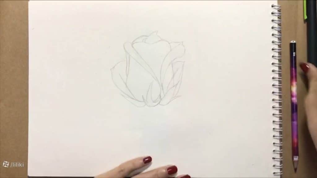 نقاشی گل رز حرفه ای