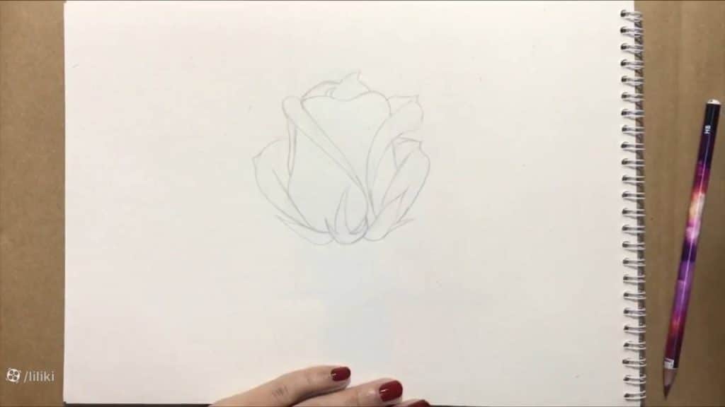 نقاشی گل رز حرفه ای