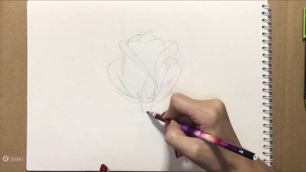 نقاشی گل رز حرفه ای