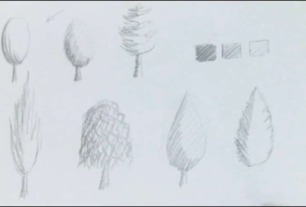 طراحی مدل درخت ساده لاوسون