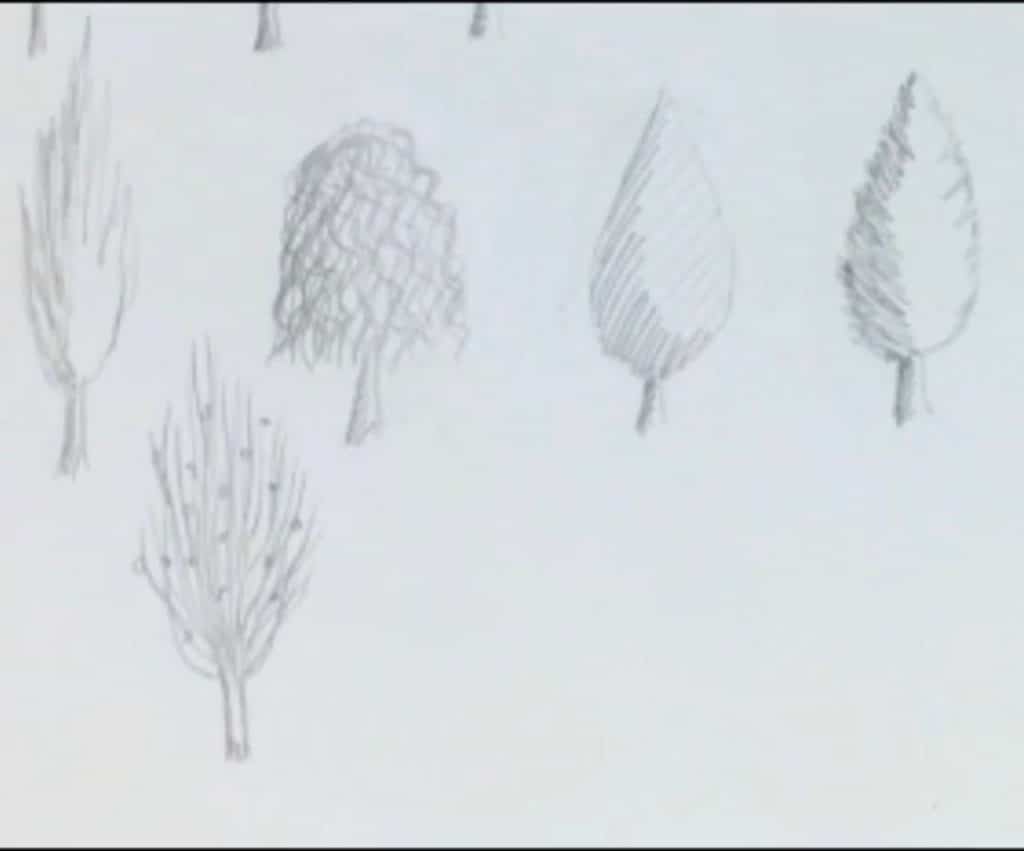 طراحی مدل درخت ساده بی برگ