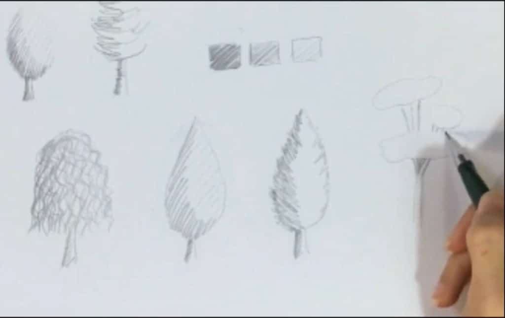 طراحی درخت پر شاخ و برگ فرم دار