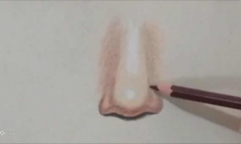 تکرار لایهها و حفظ دایره بودن در آموزش طراحی بینی