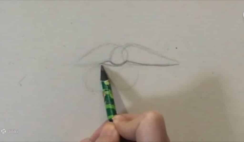 طراحی فرم سهرخ در نقاشی لب با مداد رنگی