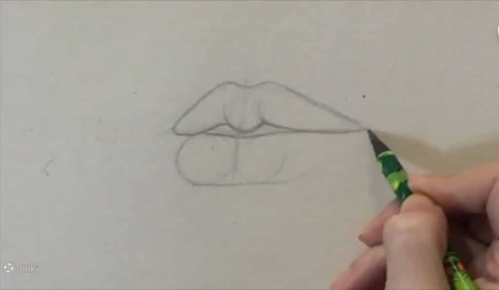 بررسی تناسبات فرم لب