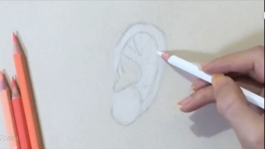 طراحی گوش با مداد رنگی