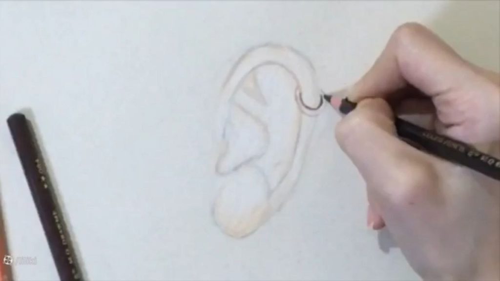 طراحی گوش با مداد رنگی