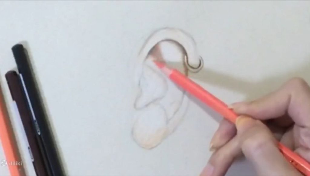 طراحی گوش با مداد رنگی