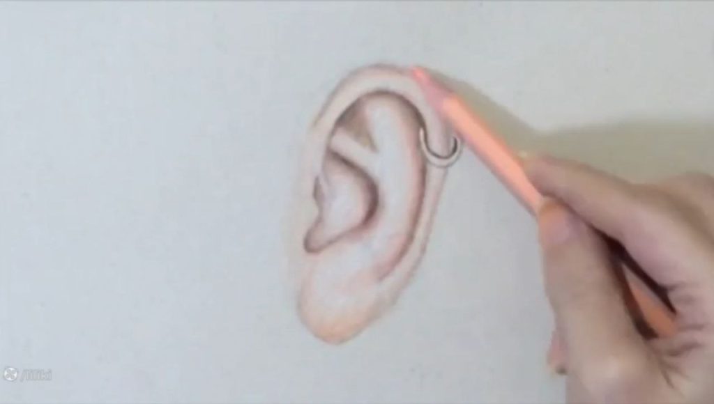 طراحی گوش با مداد رنگی