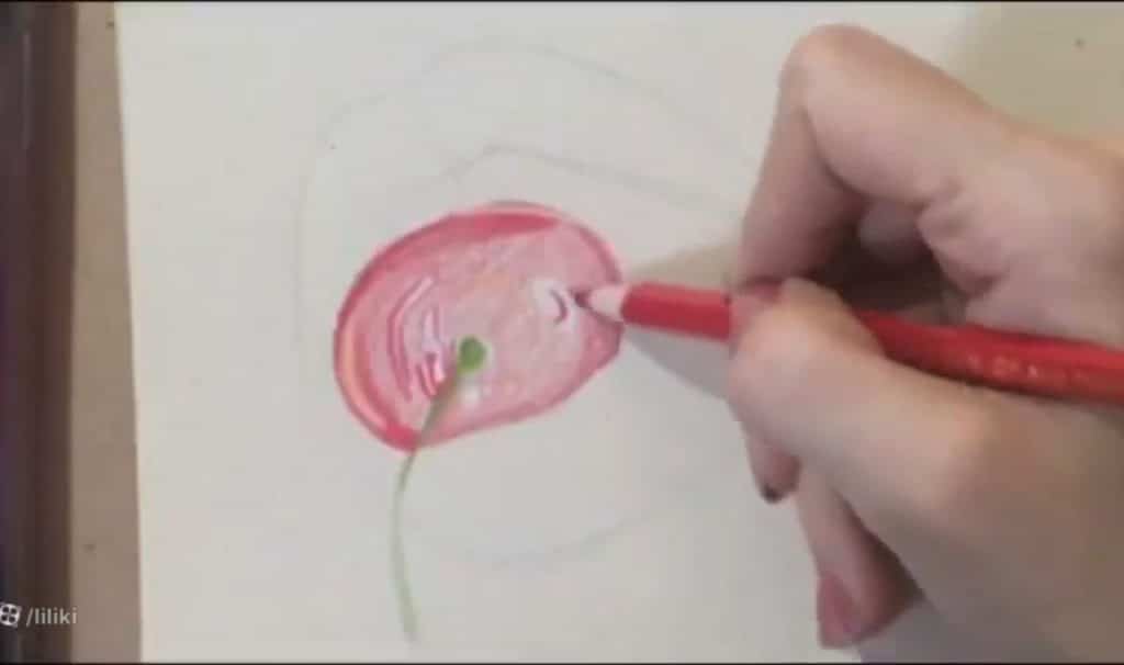 ایجاد هالههای نور و عمقدهی هنگام رنگآمیزی