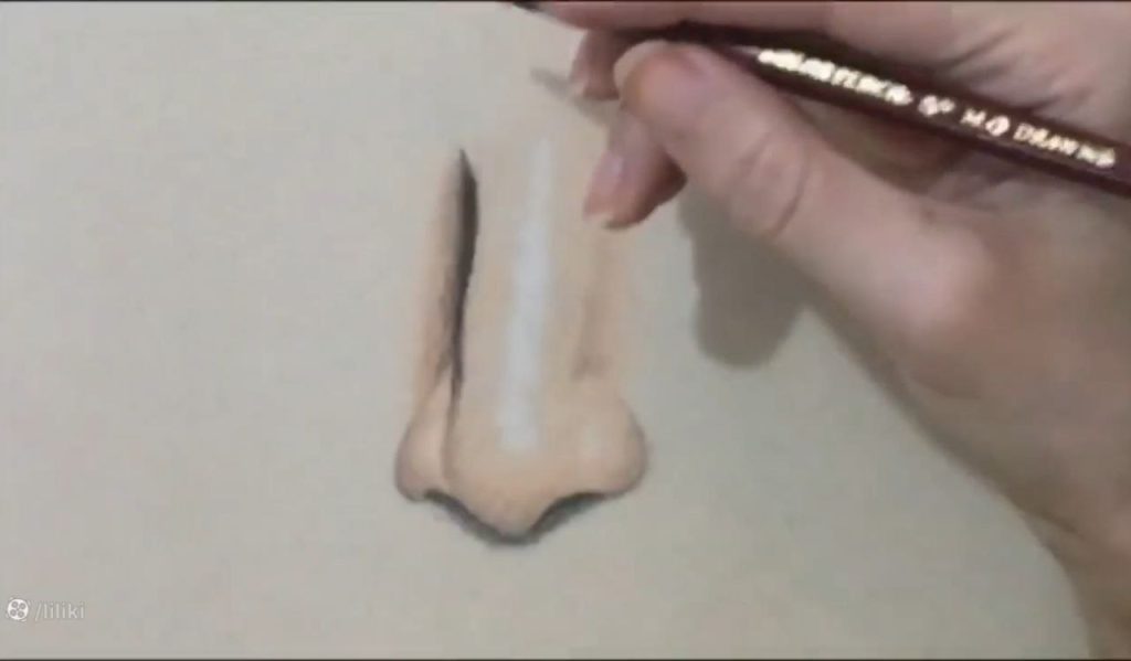 لایه پایه پوست با شماره ۱۵ و ۶۵