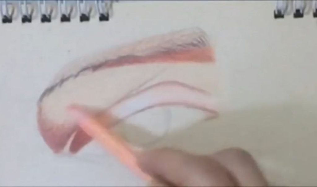 لایه نهایی سفید و بافت پوست