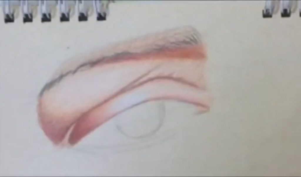 بافت پوست و مقایسه با برگ درخت