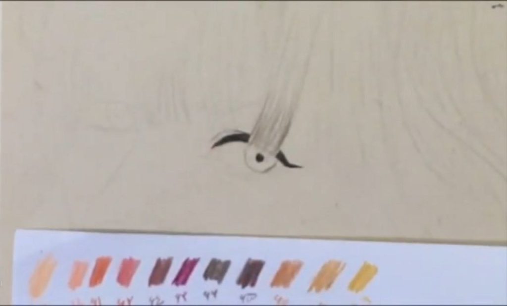 تقویت طرح اولیه نقاشی