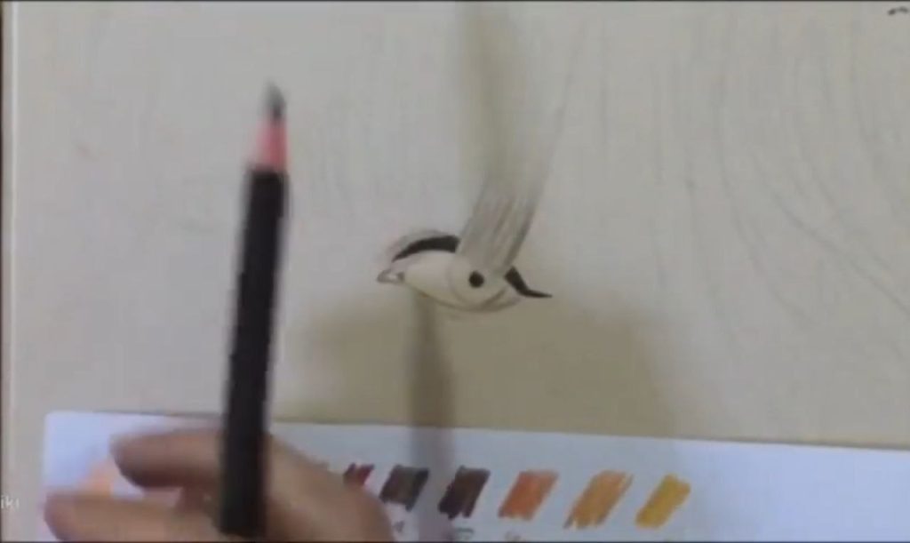 رنگ پوست اولیه در نقاشی چهره تیلور سوئیفت