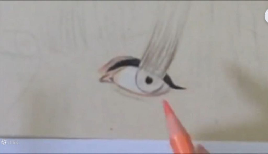 لایهگذاری رنگ پوست با شماره ۱۵