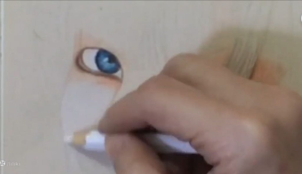 آخرین لایههای پوست و سایه در نقاشی چهره تیلور سوئیفت