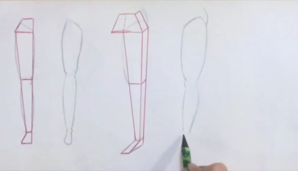 شکلدهی زانو و ساق در حالت سه رخ