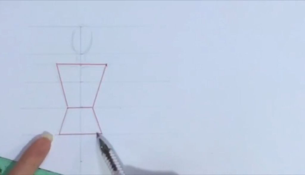 اندازه سرشانهها و شکل کلی گوه مانند بدن