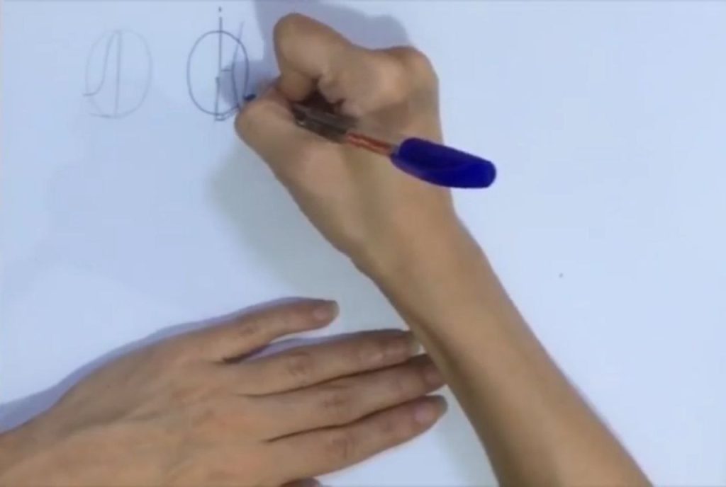 تقسیمبندی نصف سر و جایگذاری اجزای کف پا