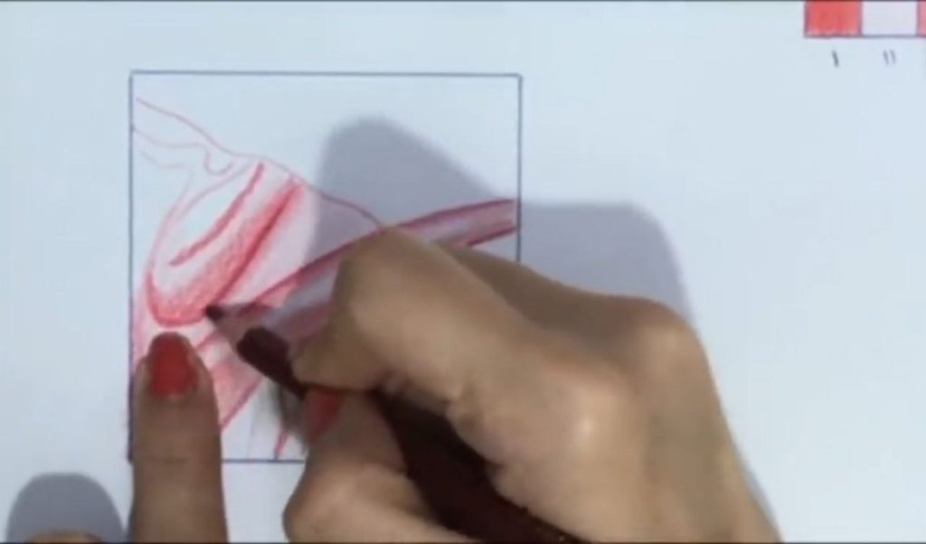 تقویت تیرگیها و مرزها در آموزش جنسیت پردازی پارچه