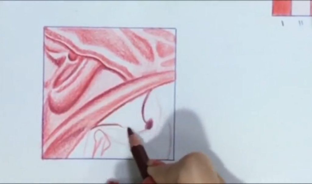 تقویت برجستگی با رنگ قهوهای و قرمز