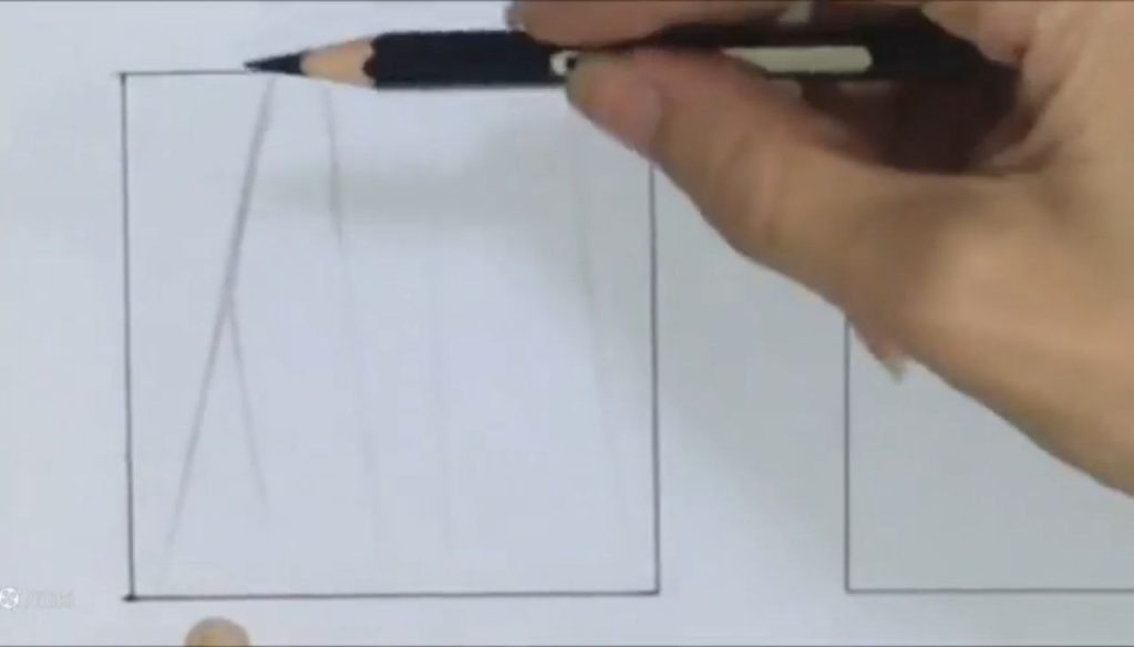 مشخص کردن مرزها در جنسیت سازی پارچه تدی