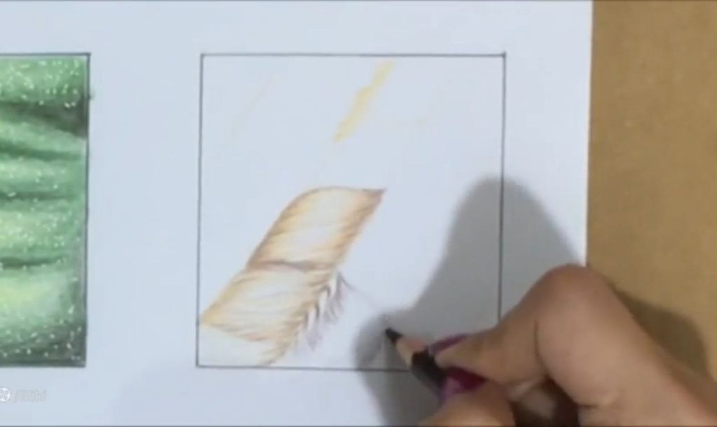 ادامه کار با جنسیت سازی پارچه خز و افزودن جزئیات