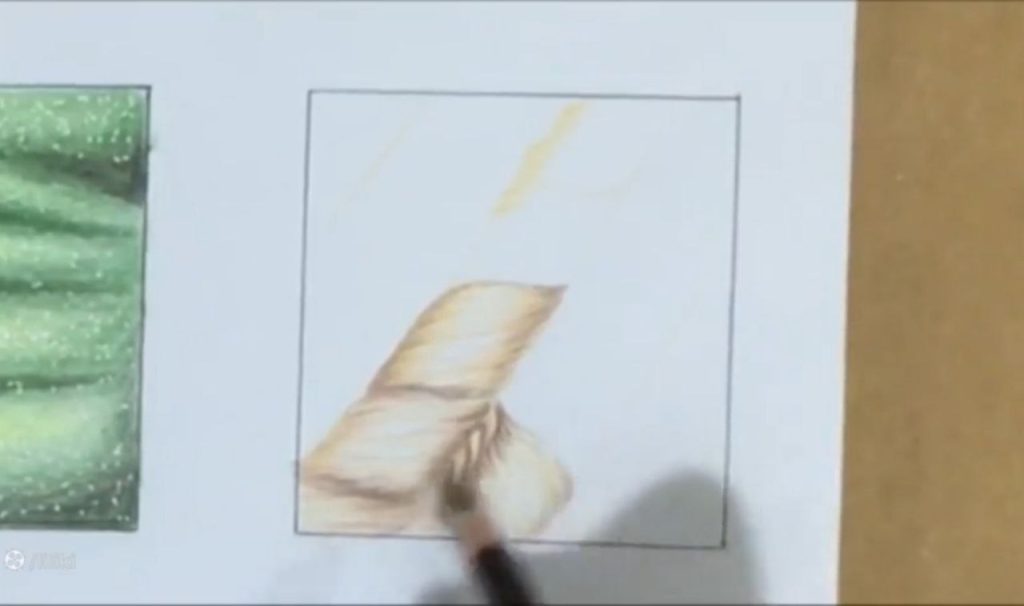 نهایی کردن جنسیت سازی پارچه با تیرگی و طبیعیسازی