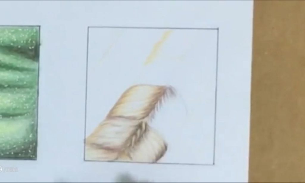 افزایش تیرگی در جنسیت سازی پارچه