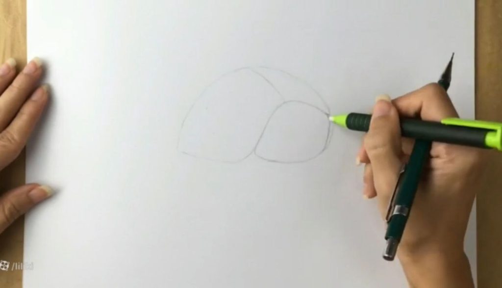 فرم کلی طراحی کفشدوزک