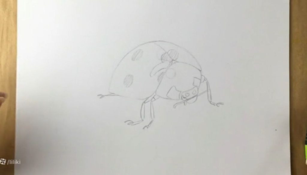 اصلاح فرم پاها در طراحی کفشدوزک