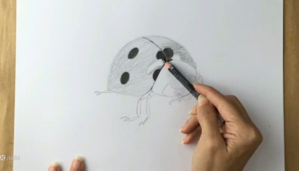 اجرای سایهروشن تدریجی در طراحی کفشدوزک