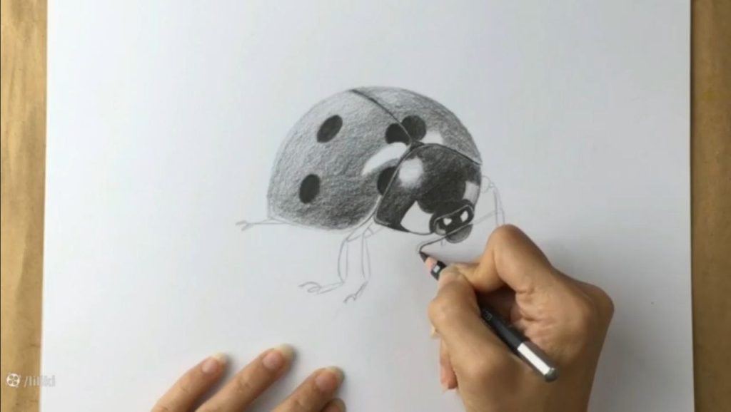 کنترل نور و کنتراست