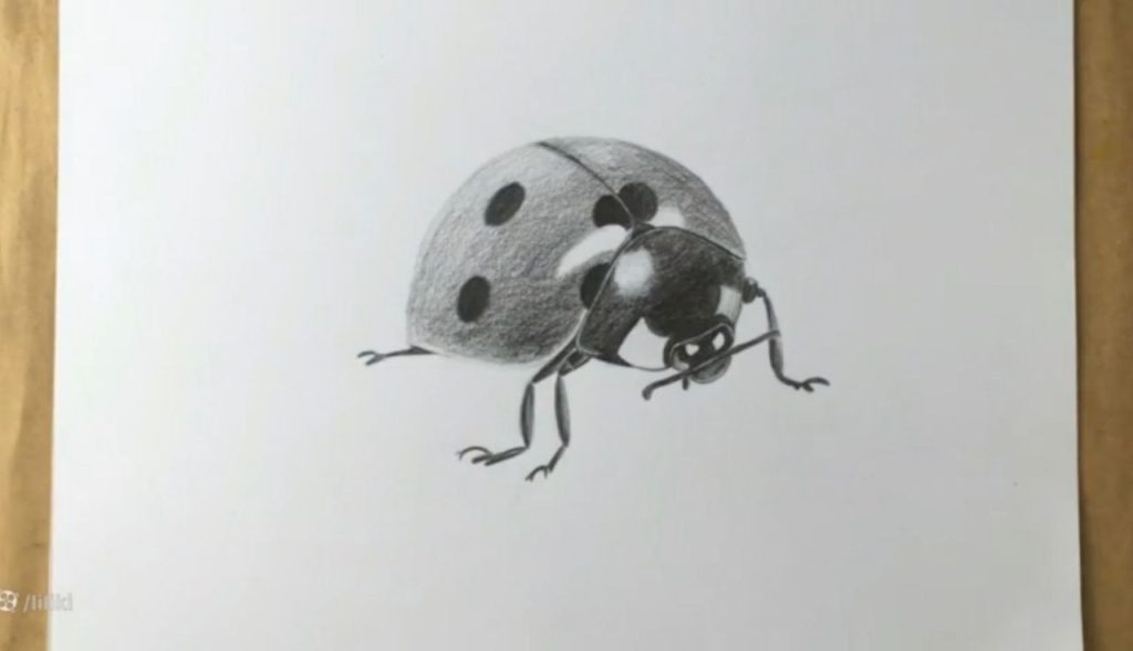 سایهپردازی پاها در طراحی کفشدوزک