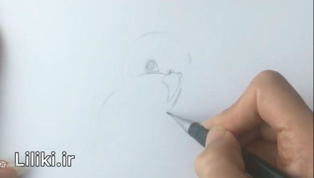 فرم صورت و پاک کردن خطوط اضافه