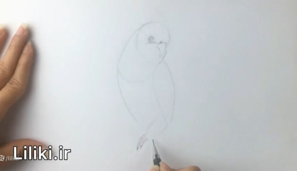 چک کردن تناسبات در طراحی عروس هلندی