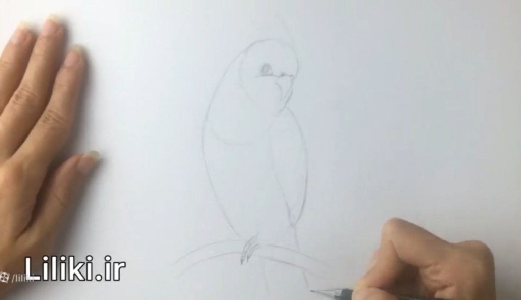 تکمیل پاها و اصلاح فرم بدن