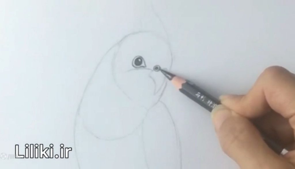 شروع سایهزدن در طراحی عروس هلندی