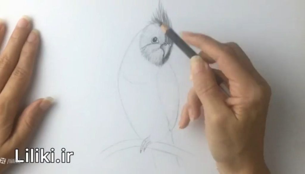 کنترل سایه و جهت مو در طراحی عروس هلندی