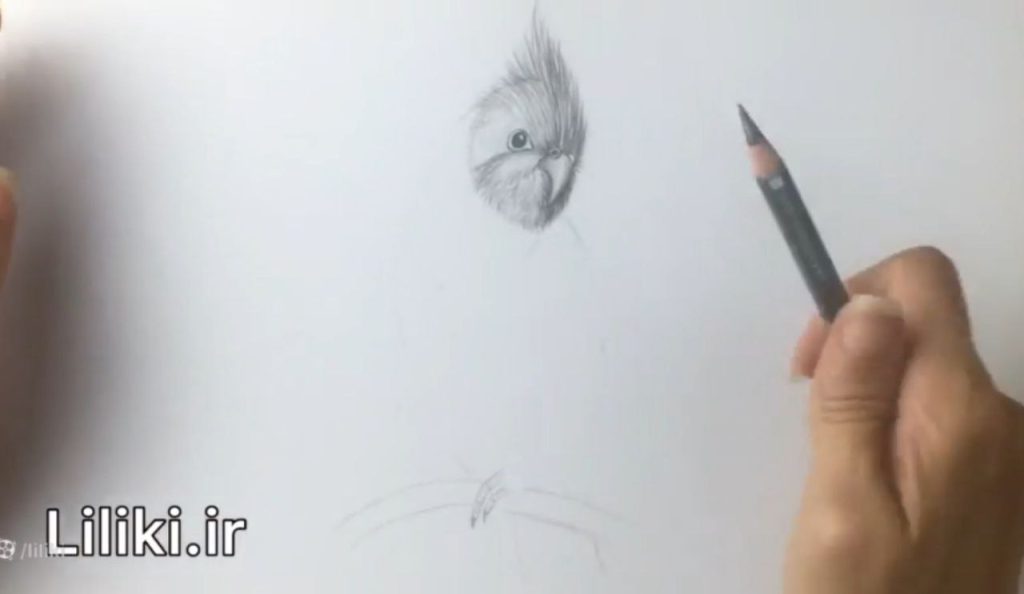 نکات فشار مداد و شروع طراحی