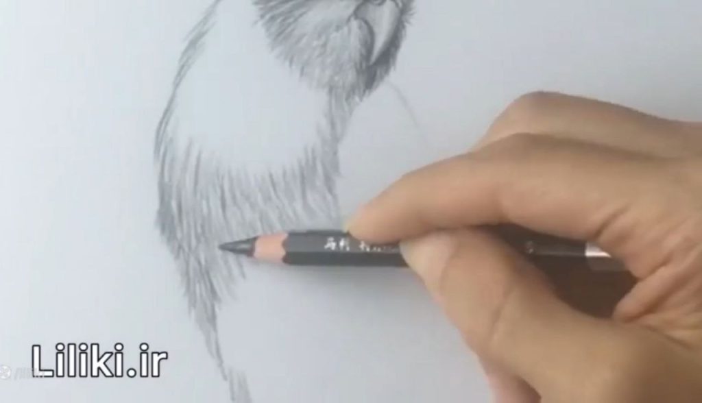 تکنیک نامنظم کردن پرها برای طبیعیتر شدن