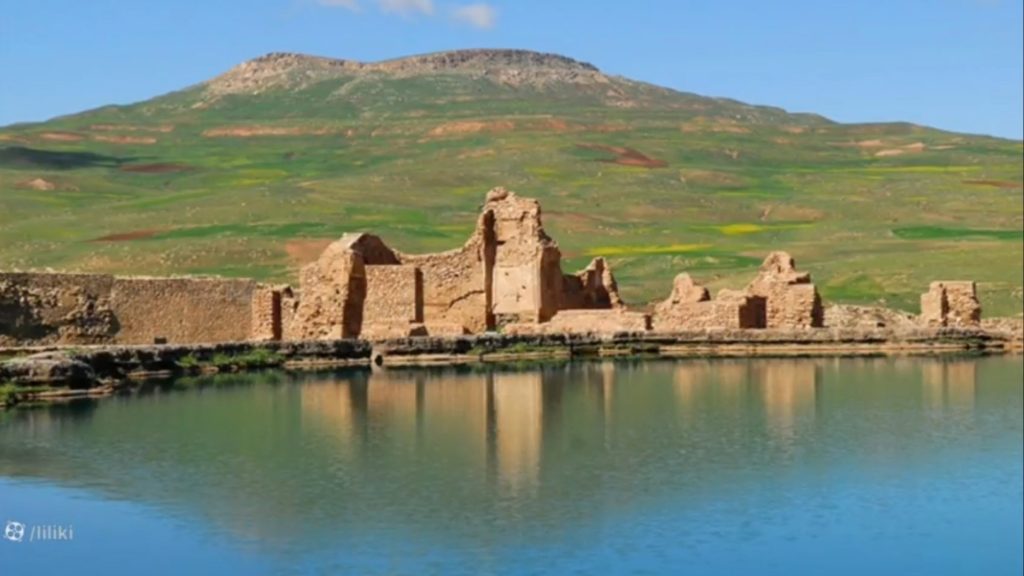 تاریخ هنر اشکانیان