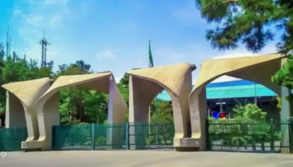 ملی گرایی